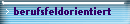 berufsfeldorientiert